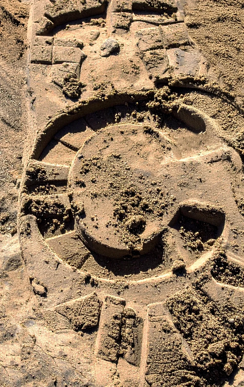 C - Boot Print 1