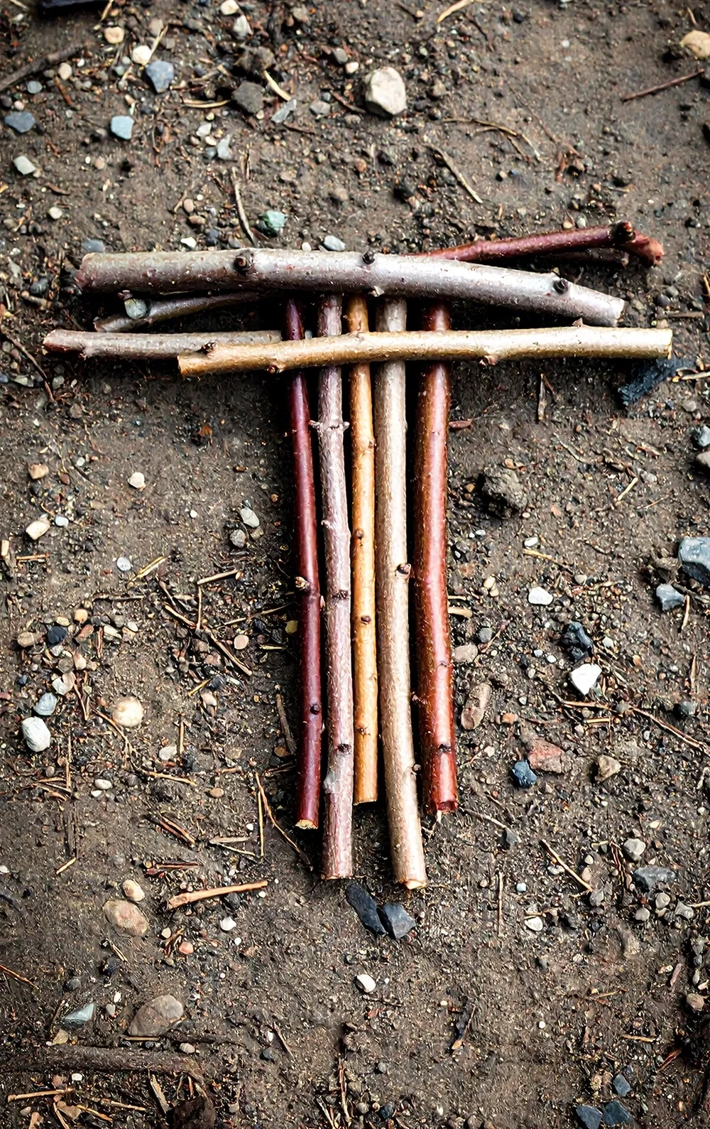 CAC_Homepage_T_Sticks.webp